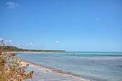 Beach in Japaratinga