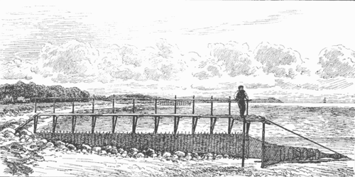 19th-century fishing weir used to trap eels on the Danish coast