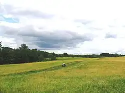 Scene in Batetsky District