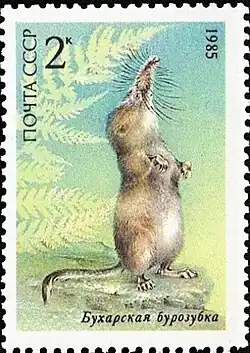 Stamp with brown shrew
