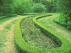 View from the dendropark