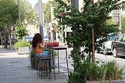 Jaffa Street, Lower City, Haifa