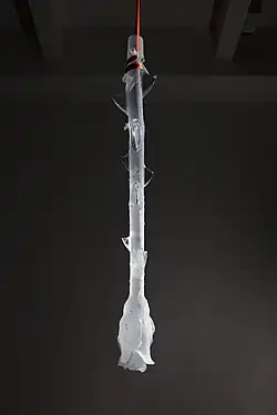 Studio SIN, Rony Plesl, Wild rose II (2023)