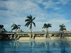 Olympic-sized swimming pool