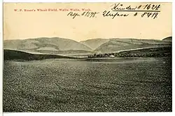 Wheat Field, Walla Walla, Washington, 1906