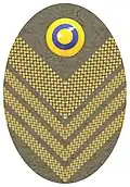 Hat badge (Mössmärke m/1940) for a colonel in the army.