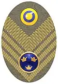 Hat badge (Mössmärke m/1946) for a colonel in the army.