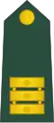 Nadporočnik (Slovenian Ground Force)[18]