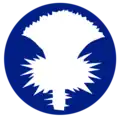 141st Infantry Division (US Phantom Unit WW2)