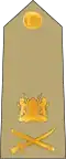 Lieutenant general[29] (Kenya Army)