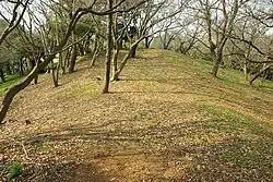 Shōbōji kofun