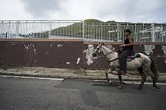 A resident on a horse after the hurricane