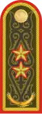 Генерал-лейтенант General-leytenant[28] (Kazakh Ground Forces)