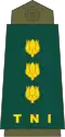 Colonel