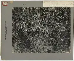 A black-and-white photo showing large swathes of fallen trees caused by the Great Olympic Blowdown of 1921. The photo is laid on a gray surface that says "U.S. Department of Agriculture Forest Service" on the left side.