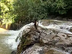 The river in the gorge near Dryanovo Monastery