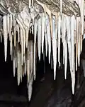 Stalactites