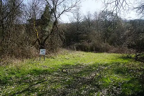 Site of the shaft.