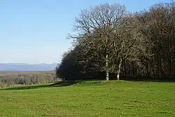The slag heap of the Driole well.