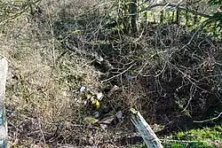 The funnel formed by the La Grille well.