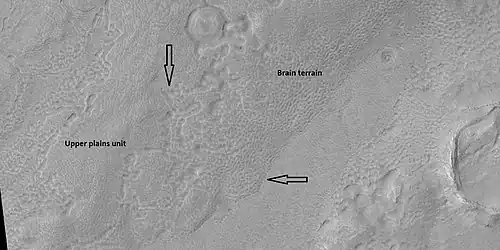 Brain terrain is forming from the breakdown of upper plains unit, as seen by HiRISE under HiWish program. Arrow points to a place where fractures are forming that will turn into brain terrain.