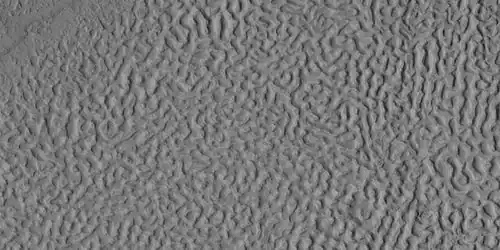 Brain terrain, as seen by HiRISE under HiWish program. Location is Ismenius Lacus quadrangle.