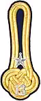 Shoulder mark m/1910 (13 = Dalarna Regiment)