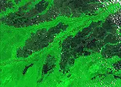 Colored composition showing the Manuripi-Heath Amazon National Wildlife Reserve, in Bolivia.