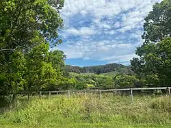 A view in Main Arm as pictured in September 2024