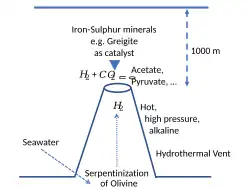 Iron-sulfur minerals like greigite catalyse the reduction of carbon dioxide in hydrothermal vents to make Krebs cycle intermediates.[39]