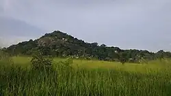 Acholi sub-region Geographical profile