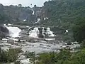 Agasthiar falls (Kalyani theertham)