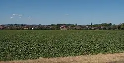 Ahrbergen, view to the village