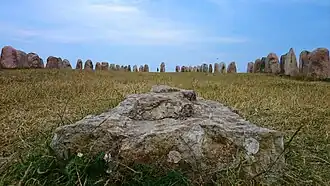 View from inside the area