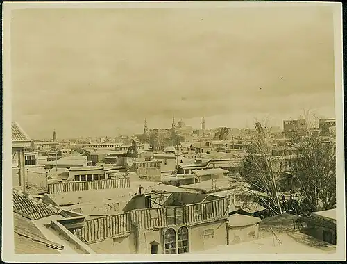 Monochrome city skyline, with roofs and trees visible.