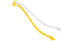 Amarela e Crua - Capoeira