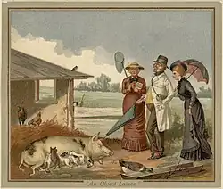 An Object Lesson (Boston Public Library)