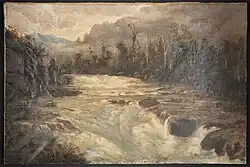 Aratiatia Rapids (1894)