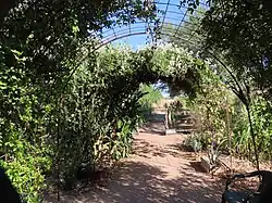 Arbor in Mexican garden at Mission Garden