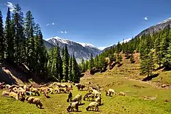 Utror, Swat Valley