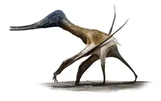 Speculative life restoration of Balaeognathus