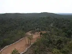 The forests of the Eastern Ghats near Bandarlapalle