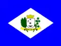 Flag of Treze de Maio