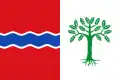Flag of Fuentelencina, Spain