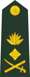 Lieutenant general লেফটেন্যান্ট জেনারেল[8] (Bangladesh Army)
