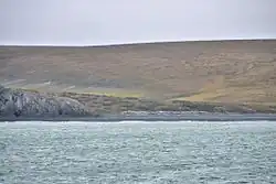 Belkovsky Island, Thilo Bay (Anzhu Islands; 75°35’30’’N, 135°38’44’’E)