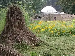 Beth Juda in Heilig Landstichting