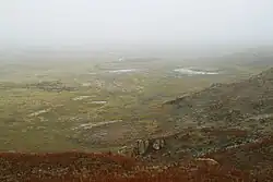 The wet floor of Big Basin.
