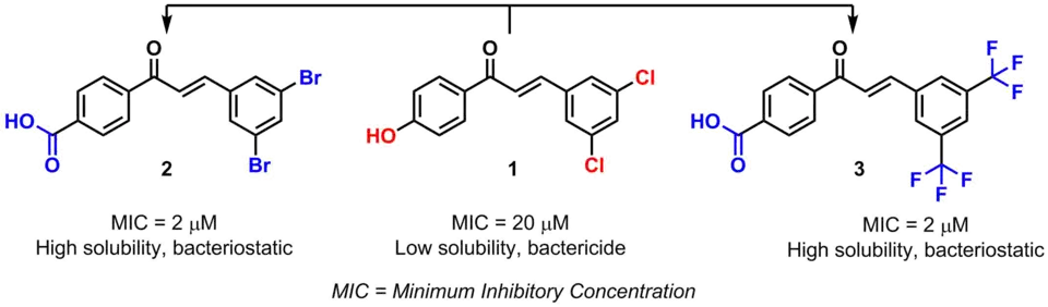 Example of bioisosterism in chalcones