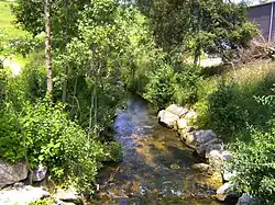 Headwaters of the Birs by Tavannes